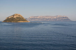Coches de alquiler en Olbia