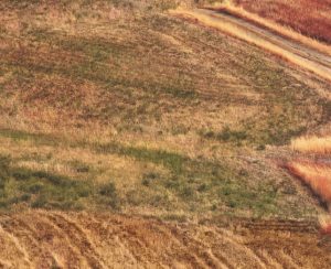 Alquiler de coches en Brindisi
