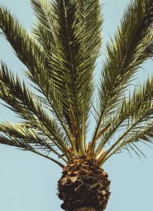 Alquiler de coches en Lamezia Terme