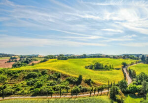 Los mejores viñedos y bodegas para visitar en la Toscana
